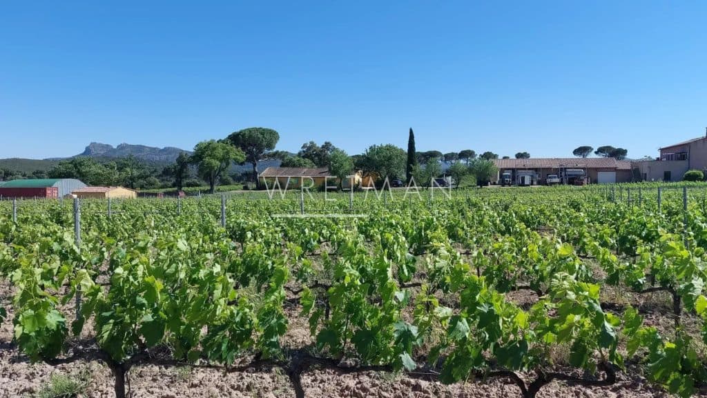 Rare vineyard estate with restaurant and residences – La Motte — photo 1